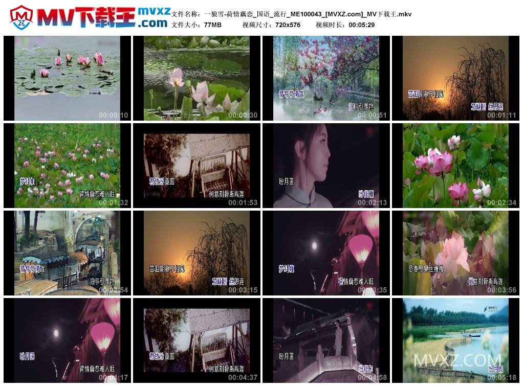 一狼雪-荷情藕恋_国语_流行_ME100043